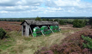 Naturschutzpark "Lüneburger Heide"